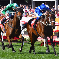 2017 Winx Cox Plate