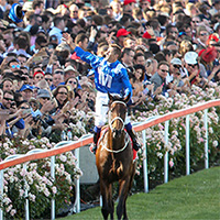 2017 Cox Plate - Winx